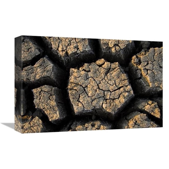 12 x 18 in. Cracked, Dried Out Mud, Mokolodi Nature Reserve, Botswana Art Print - Vincent Grafhorst