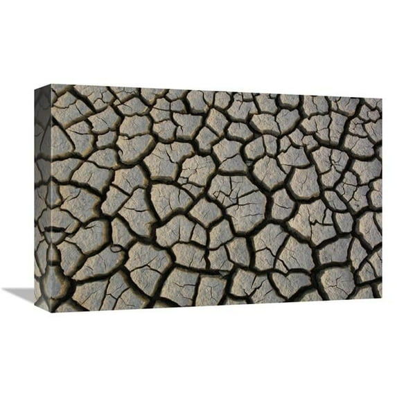 12 x 18 in. Cracked Mud on the Salt Flats of the Little Rann of Kutch, Gujarat, India Art Print - Pete Oxford