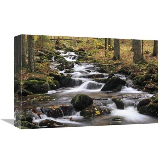 12 x 18 in. Creek Cascading Through Autumn Forest, Bayerischer Wald NP, Germany Art Print - Konrad Wothe