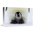 thumbnail image 1 of 12 x 18 in. Emperor Penguin Chick on the Feet of An Adult Calling, Antarctica Art Print - Rob Reijnen, 1 of 1