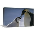 thumbnail image 1 of 12 x 18 in. Emperor Penguin Parent Feeding Chick, Riiser-Larsen Ice Shelf, Antarctica Art Print - Tui De Roy, 1 of 1
