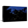 thumbnail image 1 of 12 x 18 in. Firefly Group Lighting Up at Night, North Maluku, Indonesia Art Print - Chien Lee, 1 of 1