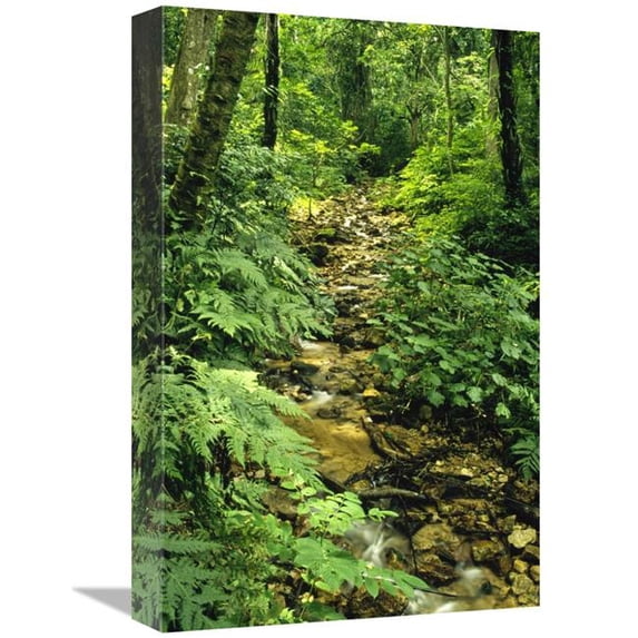 12 x 18 in. Gombe Stream Flowing Through Rainforest Inside Gombe Stream NP Tanzania Art Print - Gerry Ellis