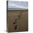 thumbnail image 1 of 12 x 18 in. Grizzly Bear Tracks on Tidal Flats, Alaska Art Print - Ingo Arndt, 1 of 1