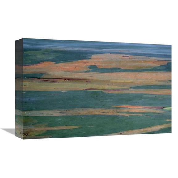 12 x 18 in. Gum Tree Bark Detail Art Print - Winfried Wisniewski