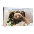 thumbnail image 1 of 12 x 18 in. Hoffmanns Two-Toed Sloth Orphaned Babies, Aviarios Sloth Sanctuary, Costa Rica Art Print - Suzi Eszterhas, 1 of 1