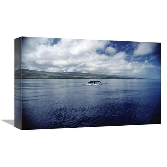 12 x 18 in. Humpback Whale Tail Slap, Hawaii Art Print - Flip Nicklin