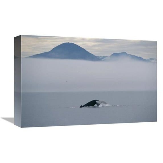 12 x 18 in. Humpback Whale Tail, Southeast Alaska Art Print - Flip Nicklin