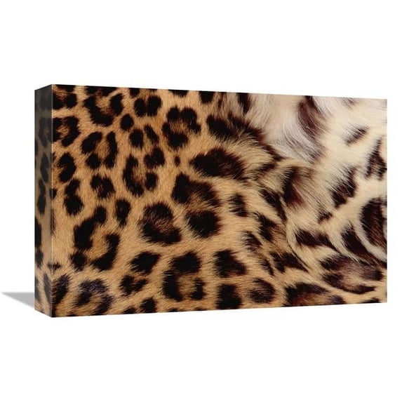 12 x 18 in. Jaguar Fur Detail, Washington Park Zoo, Portland, Oregon Art Print - Gerry Ellis