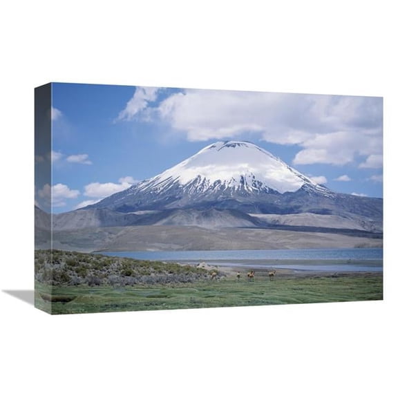12 x 18 in. Lake Chungara & Parincota Volcano with VIcuna Herd, Lauca NP, Chile Art Print - Tui De Roy