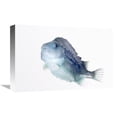 thumbnail image 1 of 12 x 18 in. Lumpfish Twenty Seven Centimeters Long, Helgoland, Germany Art Print - Ingo Arndt, 1 of 1