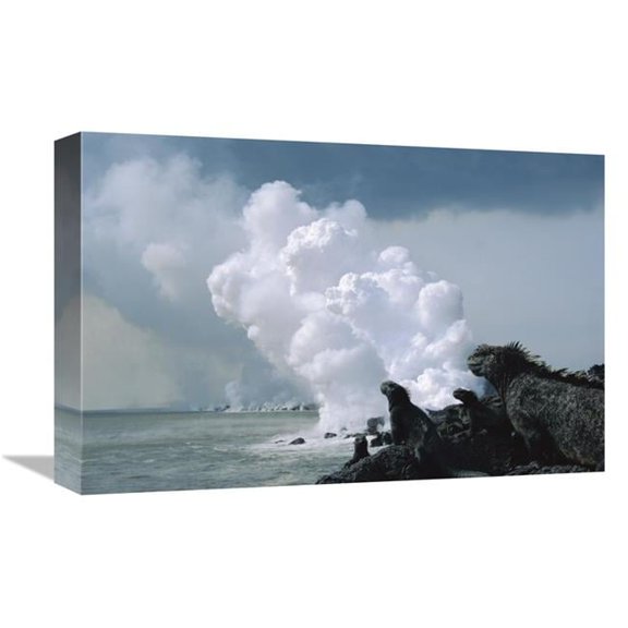 12 x 18 in. Marine Iguanas with Steam From Lava Flowing Into Sea, Galapagos Islands, Ecuador Art Print - Tui De Roy