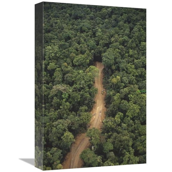 12 x 18 in. New Logging Road in Virgin Lowland Tropical Rainforest, East of Aird River Delta, Kikori Basin, Papua New Guinea Art Print - Gerry Ellis