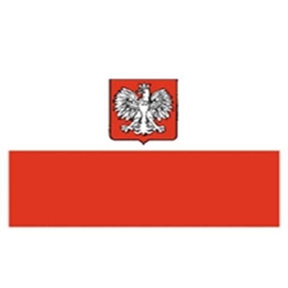 12 x 18 in. Nylon-Glo Poland With Eagle Flag