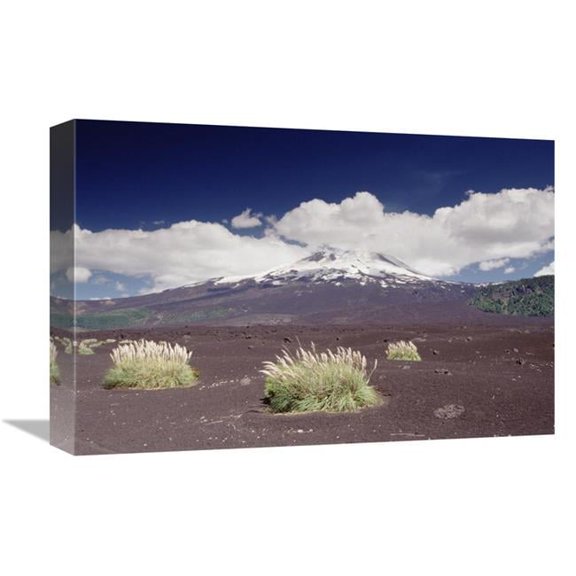 12 x 18 in. Pampas Grass Islands in Old Lava Flowl Llaima Volcano, Conguillio NP, Chile Art Print - Gerry Ellis