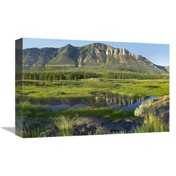 12 x 18 in. Panorama VIew of Windy Mountain, Wyoming Art Print - Tim Fitzharris