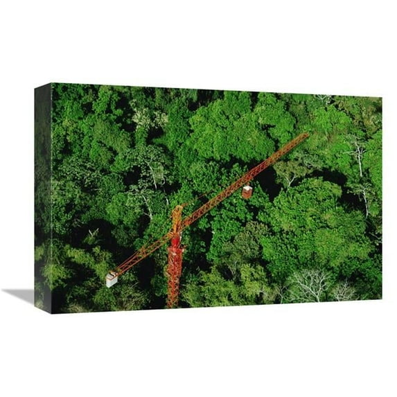 12 x 18 in. Rainforest Canopy Research Crane, Stri, Panama Art Print - Mark Moffett