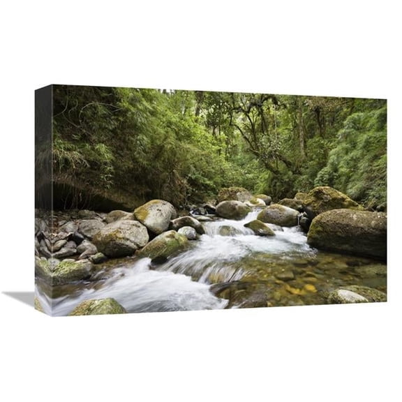 12 x 18 in. Savegre River Running Through Rainforest, Costa Rica Art Print - Konrad Wothe