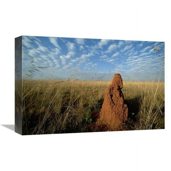 12 x 18 in. Termite Mound in Open Cerrado Grassland, Emas National Park, Brazil Art Print - Tui De Roy