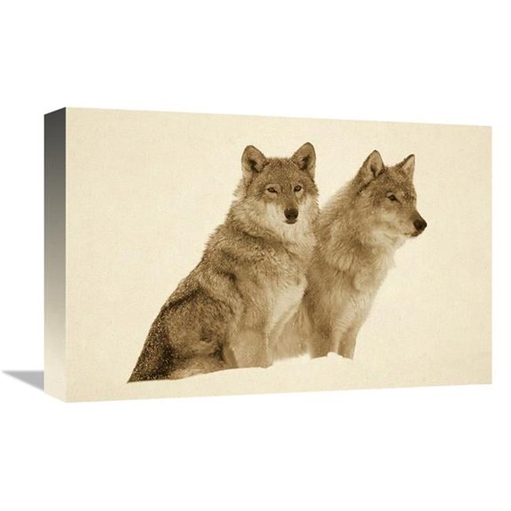 12 x 18 in. Timber Wolf Portrait of Pair Sitting in Snow, North America - Sepia Art Print - Tim Fitzharris
