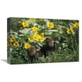 thumbnail image 1 of 12 x 18 in. Timber Wolf Pups Among Flowers, North America Art Print - Gerry Ellis, 1 of 1