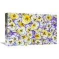 thumbnail image 1 of 12 x 18 in. Violet Flowers in White, Yellow & Purple, Europe & North America Art Print - Jan Vermeer, 1 of 1