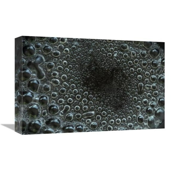 12 x 18 in. Water Boiling in Pan Art Print - Murray Cooper