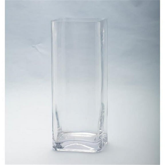 12 x 5 x 5 in. Square Glass Vase, Clear
