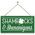 Humorous Irish Signs 12 x 8 Inch Funny Shamrocks and Shenanigans St Patricks Day Sign ...