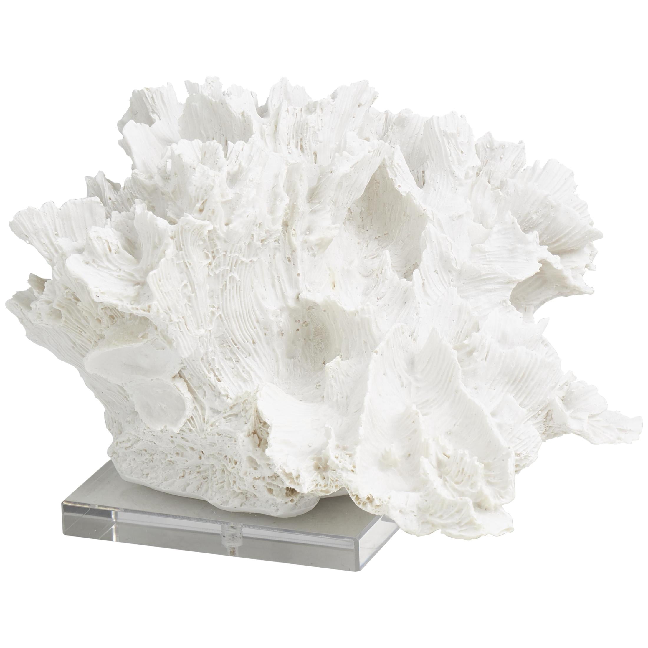 12" x 8" White Polystone Textured Coral Sculpture with Clear Acrylic Base, by DecMode