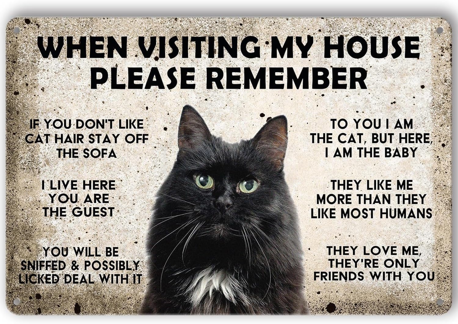 12"x16" Cat Metal Sign When Visiting My House Please Remember Tin Signs