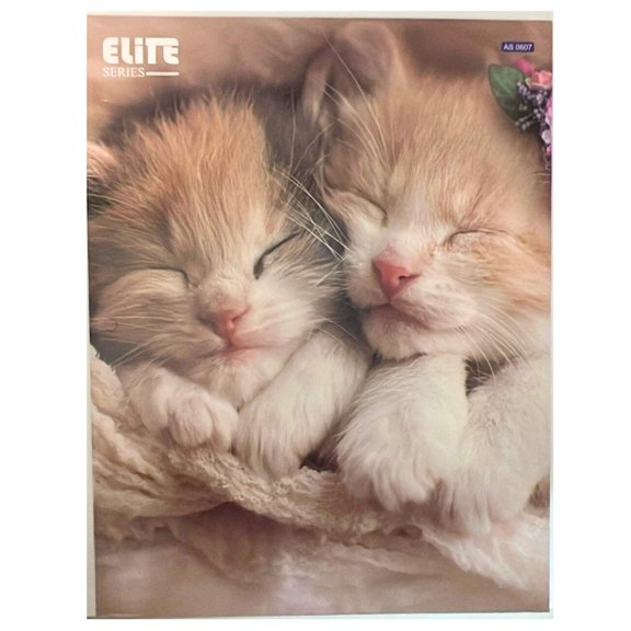 12"x9" Pocket File Folders with Animal Prints: 1 Pack