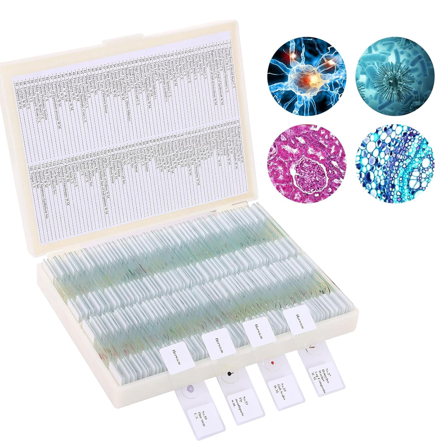 Insect Slide Collection 120 Microscope Slides with Specimens, Plant, Insect, Animal, Algae ...