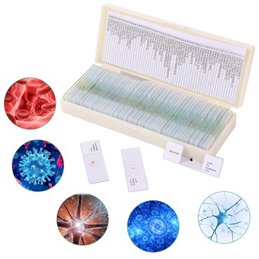 Microscope Slide Trays - 4 Pack With 20 Capacity Each For Biology Specimens