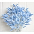 thumbnail image 1 of 120 PCS Blue Dried Pampas Grass Decor, 17-inch Pompas Floral, Dry Flowers for Decoration, Pampas Grass in Bulk Tall, Blue Bunny Tails Dried Flowers for Boho Wedding Decor, 1 of 10
