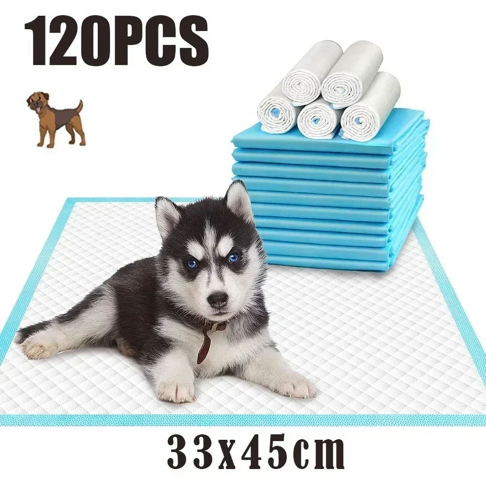 Clean Comfy Pet Disposable Dog Doggy Cat Diaper Diapers Nappy Pads