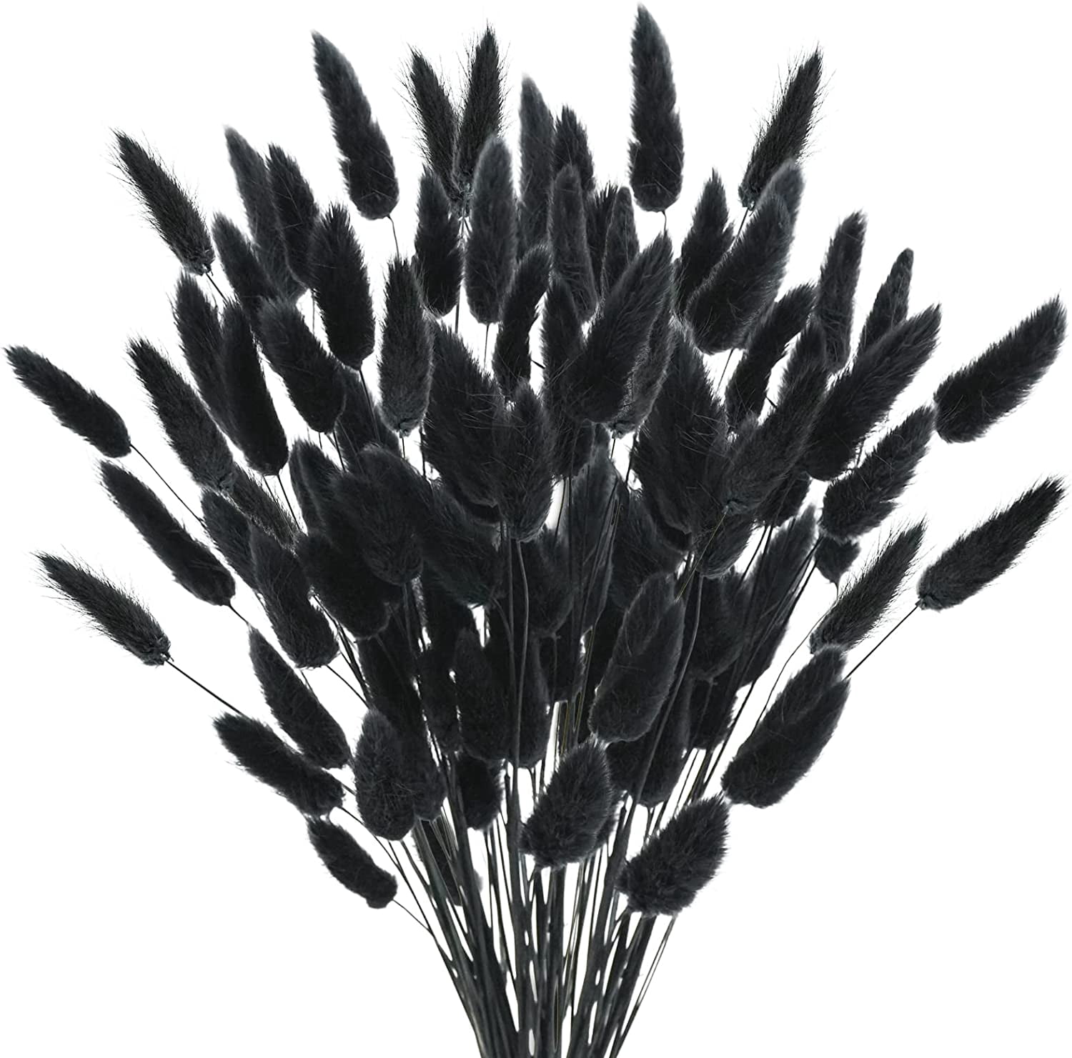 120 Pcs Dried Lagurus Ovatus，17’’ Natural Dried Rabbit Tail Pampas ...