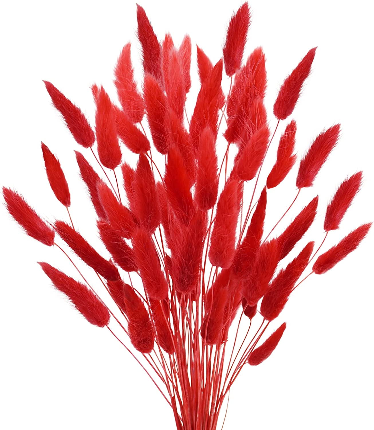 120 Pcs Dried Lagurus Ovatus，17’’ Natural Dried Rabbit Tail Pampas Grass Flowers for Farmhouse Flower Arrangements Wedding Home Boho Party Decorations