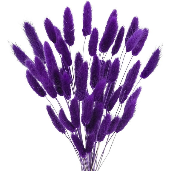 120 Pcs Dried Lagurus Ovatus,17’’ Natural Dried Rabbit Tail Pampas Grass Flowers for Farmhouse Flower Arrangements Wedding Home Boho Party Decorations