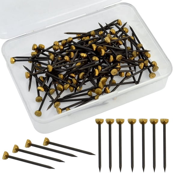 120 Pcs Plaster Picture Frame Hangers Nails Professional Picture Hooks Brass for Head Pins with Storage