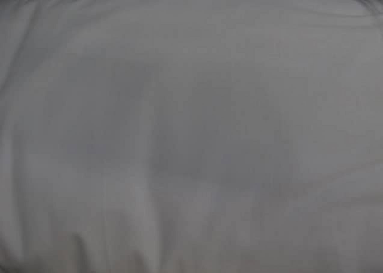 120 inches Wide 100% Cotton White Quilt Backing