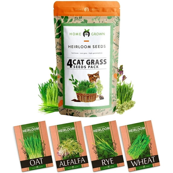 1200+ Cat Grass Seeds - Wheat Seeds, Oat Seeds, Barley Seeds, and Rye Seeds - Heirloom & Non GMO Cat Grass for Indoor Cats