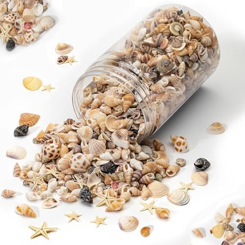 1200 PCS Natural Seashells, Tiny sea Shells & Small Starfish for Decorations, Mixed Ocean Beach Spiral Shells for Crafting, Fish Tank, Beach Theme Party, Wedding Decor, DIY Craft Supplies