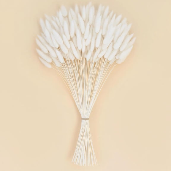 120PCS Dried Pampas Grass Spring Flowers, 17inch White Bunny Tails Dried Flowers, Handpicked Bunch for Boho Farmhouse Home Table Decor