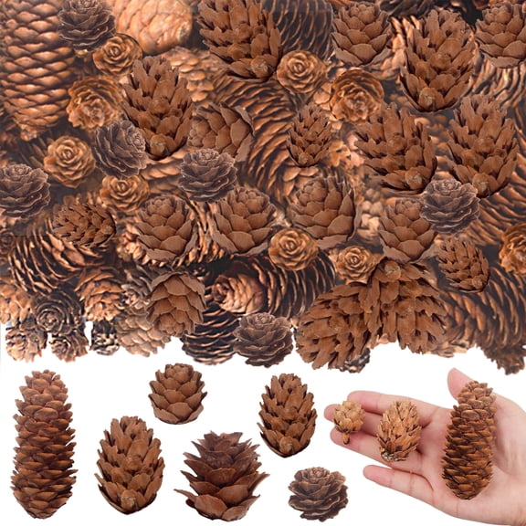 AGNURCADE Natural Mini Pine Cones, 120‑Pack, Fall Winter Christmas Tree Diy Craft Supplies for Wreath, Garland & Xmas Decor