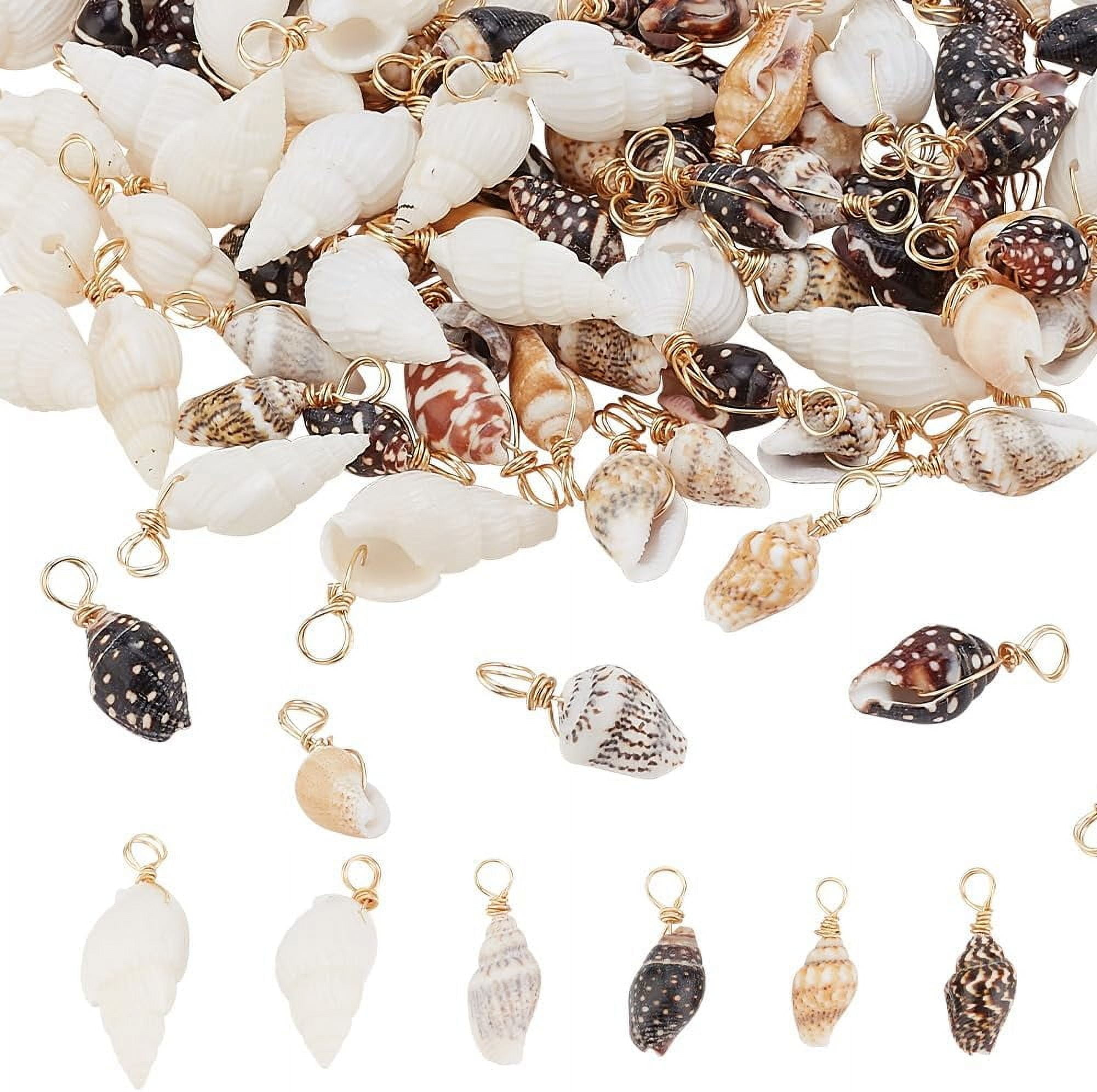 Shell Real Charms 120Pcs 3 Styles Natural Shell Charms Spiral Seashells Pendant Ocean ...