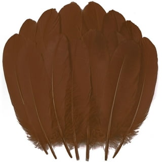 Brown Feathers