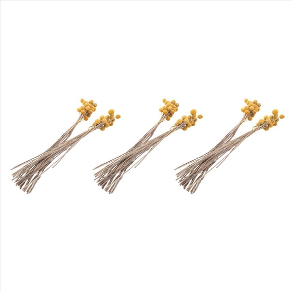 120Pcs Dried Craspedia Flowers Dried Button Balls Flowers,Dried Flower Bouquet for Arrangements Wedding Home Decor,3 set x dry vegetation,Yellow