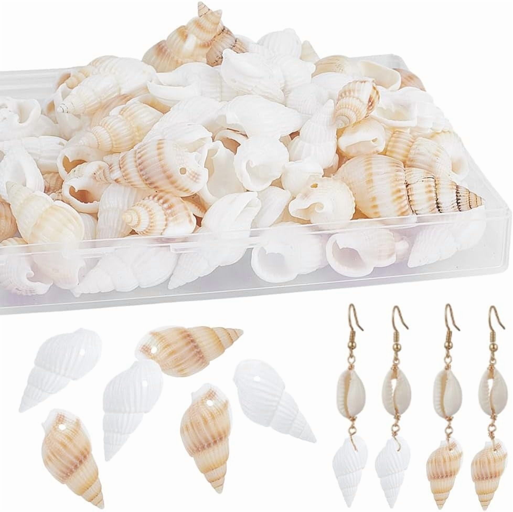 120Pcs Natural Shell Charms Spiral Seashells Pendant Ocean Conch Dangle ...