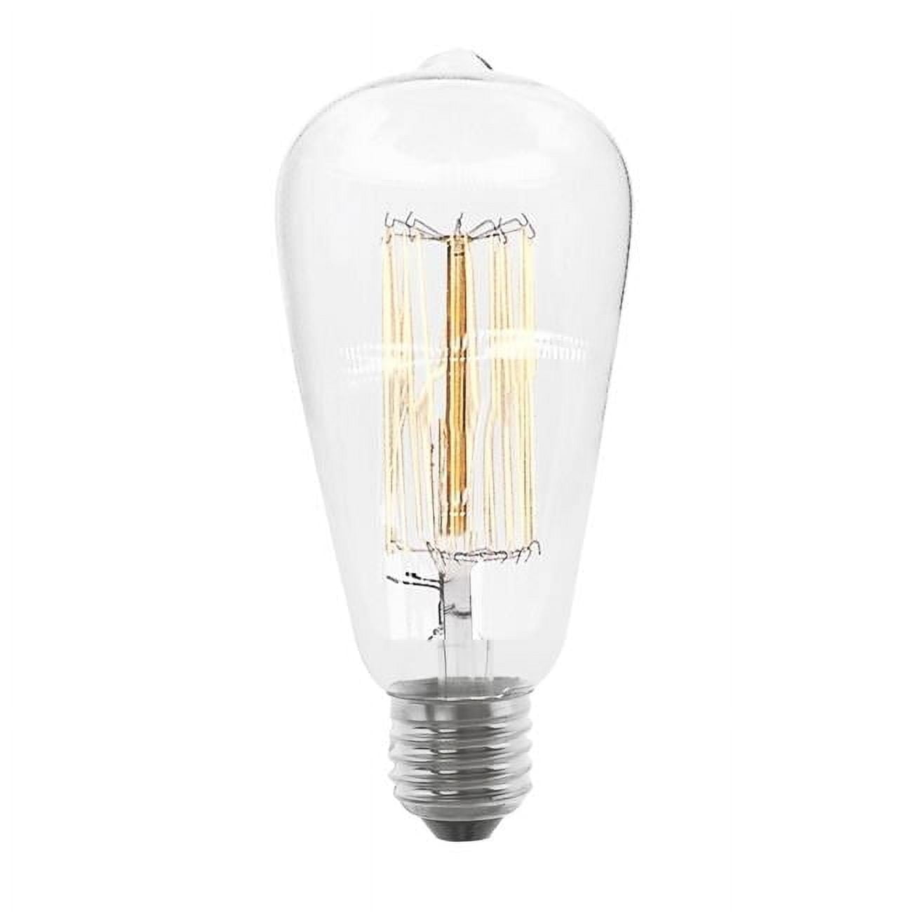 120V 60 watt Incandescent E26 ST58 CL Bulb